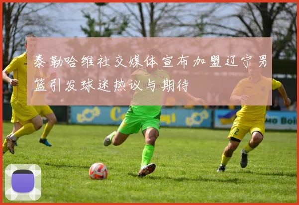 泰勒哈维社交媒体宣布加盟辽宁男篮引发球迷热议与期待