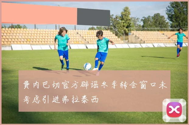 费内巴切官方辟谣冬季转会窗口未考虑引进弗拉泰西