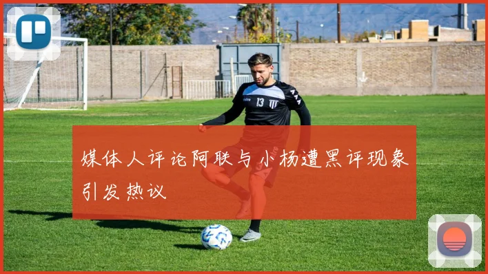 媒体人评论阿联与小杨遭黑评现象引发热议
