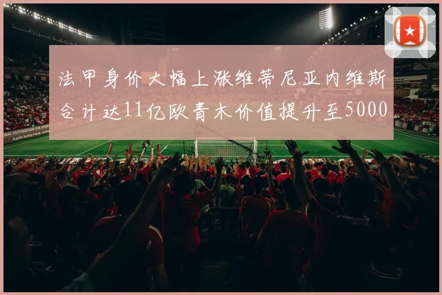 法甲身价大幅上涨维蒂尼亚内维斯合计达11亿欧青木价值提升至5000万