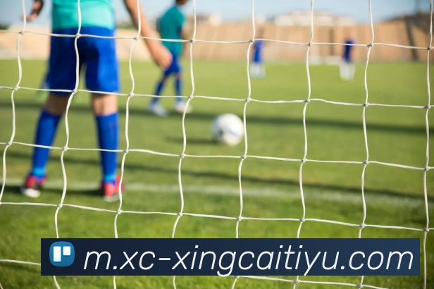 杏彩体育平台生态图