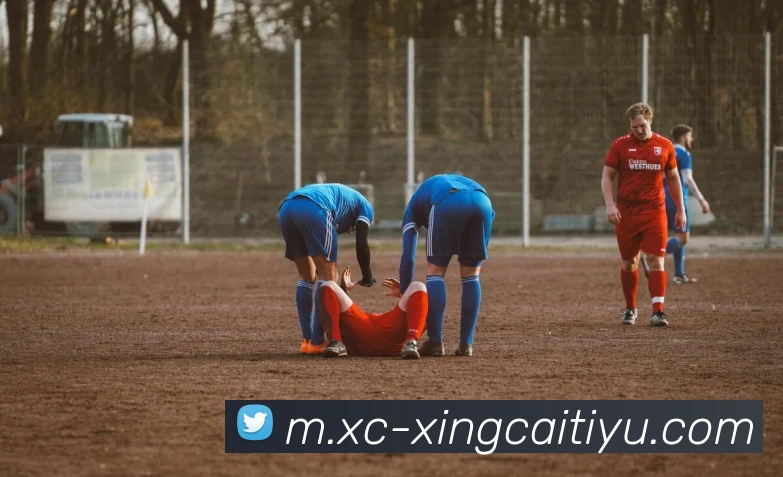 杏彩体育APP 封面图